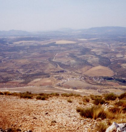 Loja