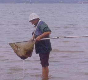 Pêche à pied